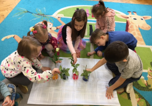 Dzieci wkładają róże do naczyń z barwnikiem.