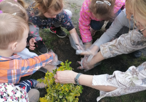 Dzieci zasypują roślinkę ziemią.