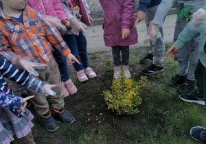 Dzieci wskazują posadzoną roślinę.