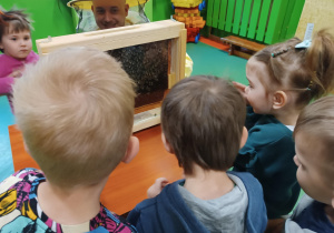 Zdjęcie dzieci obserwujących pszczoły z bliska.