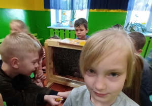 Zdjęcie dzieci obserwujących pszczoły z bliska.