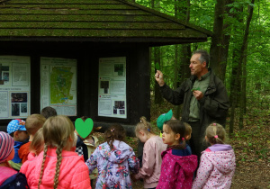 Dzieci i przewodnik stoją przy tablicach informacyjnych w lesie.
