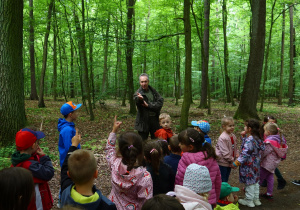 Zdjęcie przewodnika, który opowiada dzieciom o lesie.