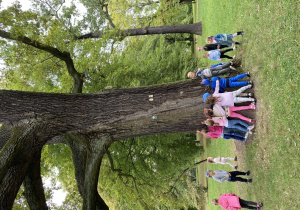 Dzieci tworzą koło wokół drzewa.