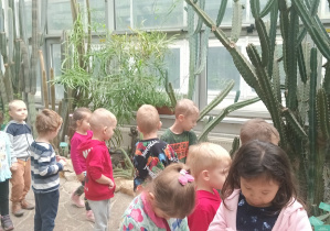 Dzieci oglądają różne gatunki kaktusów.