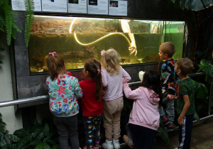 Dzieci stoją i oglądają akwarium z rybami.