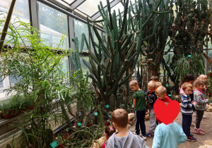 Dzieci oglądają różne gatunki kaktusów.