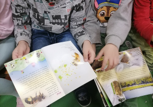 Chłopcy przeglądają książki o pszczołach.