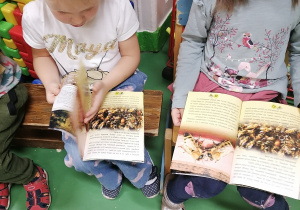Dziewczynki oglądają książki o pszczołach.