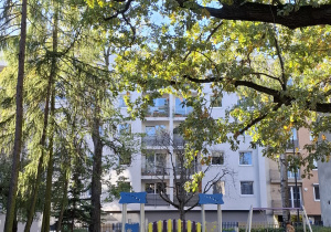 Nasze przedszkole