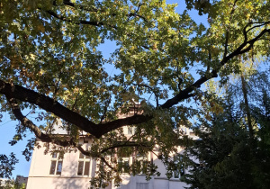 Nasze przedszkole
