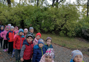 Dzieci patrzą na drzewa.