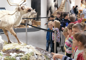 Dzieci patrzą na eksponaty.