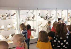 Dzieci oglądają eksponaty ptaków.