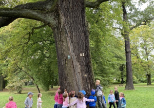 Dzieci tworzą koło wokół drzewa.